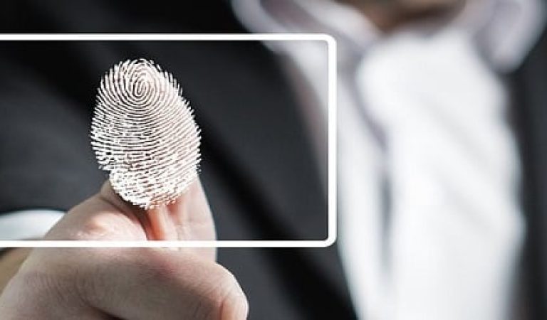 fingerprint-2904774_960_720xx