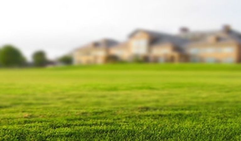 lawn-768316_960_720Y